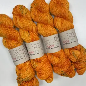 #37 Top Down Roll Raglan Kit, Sizes 7 and 8 (Floridian Zest)
