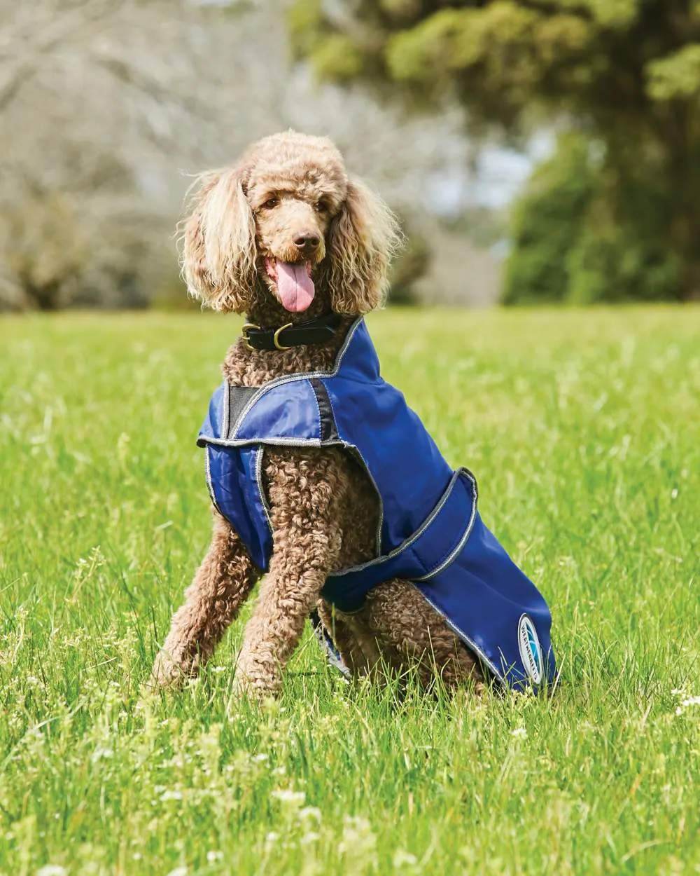 WeatherBeeta ComFiTec Windbreaker Free Deluxe Dog Coat